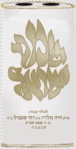 שמע ישראל אפליקציה2 T107