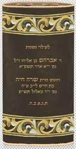 מעיל פסי עיטור כנפיים T131