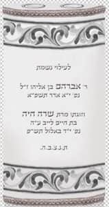 פסי עיטור כנפיים2 T131