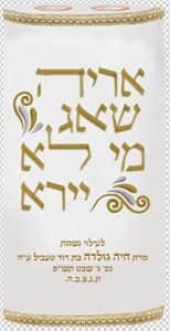 אריה ישאג2