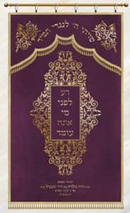 מסגרת אורנמנט P213