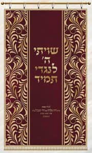 פס אפליקציה מרכז P233